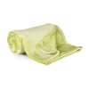 Deka mikroflanel SLEEP WELL® - pistáciová (Velikost 150*200 cm)