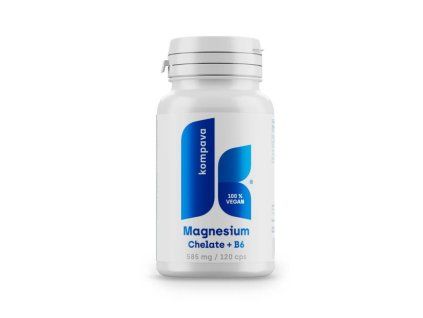 magnezium chelat vitamin b6 pyridoxin 120 kapsul new