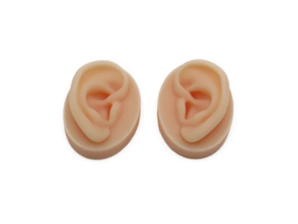 Ear model 1 510x420