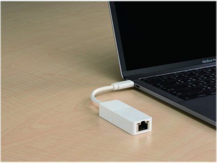 D-Link DUB-E130 USB-C to Gigabit Ethernet Adapter