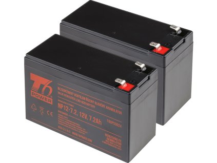 T6 Power RBC48, RBC123, RBC22, RBC32, RBC5, RBC9, RBC113, RBC176 - battery KIT