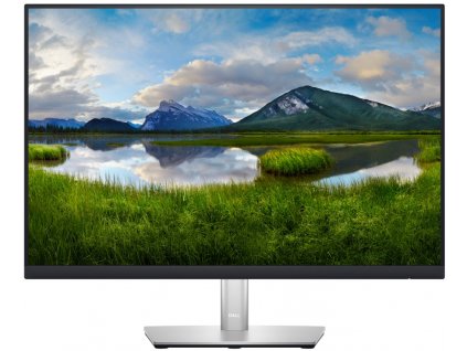 DELL LCD P2423 - 24"/IPS/LED/WUXGA/1920x1200/16:10/60Hz/8ms/1000:1/300 cd/m2/DP/HDMI/VGA/Pivot/VESA/3YNBD