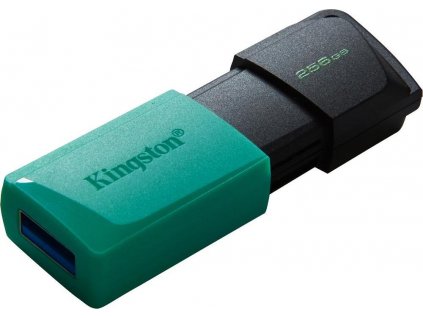 Kingston DataTraveler EXODIA M 256GB DTXM/256GB