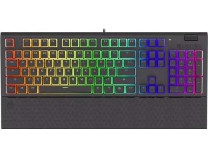 Endorfy herní klávesnice Omnis Pudd.Kaihl RD RGB /USB/ red switch / drátová / mechanická / US layout / černá RGB