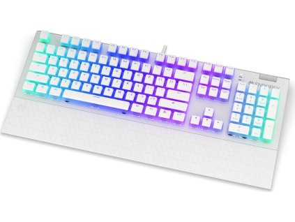 Endorfy herní klávesnice Omnis OWH Pudd.Kailh RD RGB /USB/ red switch / drátová / mechanická / US layout / bílá RGB