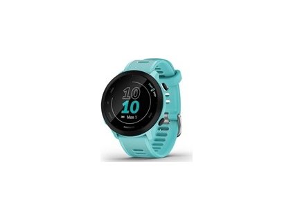Garmin GPS sportovní hodinky Forerunner 55 Blue, EU