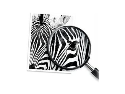 7bce0967 3246 4017 a92c 00f35820b35e