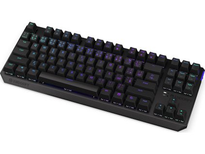 Endorfy herní klávesnice Thock TKL Wireless Red/ bezdrátová / USB / red switch / mechanická / CZ layout / černá RGB