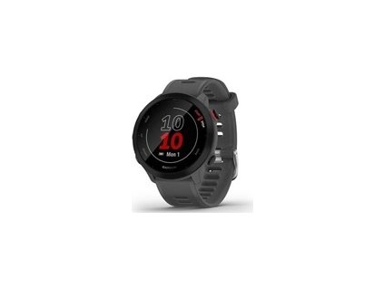 Garmin GPS sportovní hodinky Forerunner 55 Grey, EU