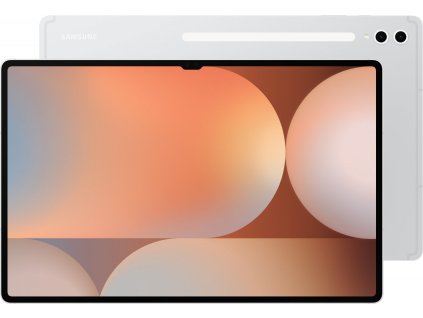 Galaxy Tab S10 Ultra Platinum Silver Product Image s