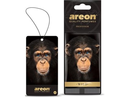 AW04 Areon Wild Professor AREON