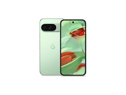Google Pixel 9 - 256GB Wintergreen, EU