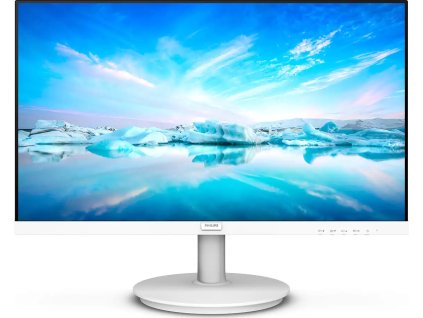 271V8AW 00 IMS cs CZ s