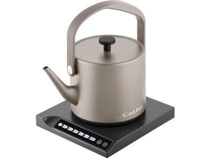 BM 503 Isabella kanvica Catler