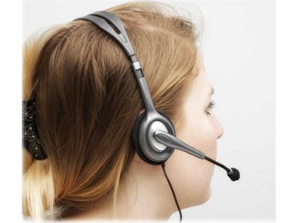Logitech H110