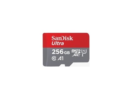 SanDisk MicroSDXC Class 10 256GB SDSQUNR-256G-GN6TA