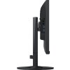EIZO MT 24" EV2460-BK FlexScan, IPS, 1920x1080, 250nit, 1000:1 5ms, DisplayPort, DVI-D, HDMI, D-sub, USB, Repro, Černý