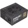 EVOLVEO G750 zdroj 750W, eff 91%, 80+ GOLD, aPFC, modulární, retail
