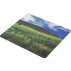 NATEC NPF-1403 Natec Photo Mousepad ITALY 220x180mm