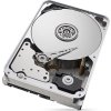 SEAGATE HDD 18TB IRONWOLF PRO (NAS), 3.5", SATAIII, 7200 RPM, Cache 256MB