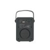 CARNEO F90 FM rádio, bluetooth reproduktor, black/wood