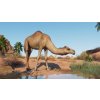 ESD Planet Zoo Arid Animal Pack