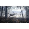 ESD theHunter Call of the Wild Medved-Taiga