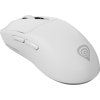 Zircon 500 G2 NMG 2359 render 4