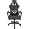 NATEC NFF-1711 herné kreslo Fury Avenger L, black-white