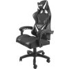 NATEC NFF-1711 herné kreslo Fury Avenger L, black-white