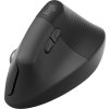 Logitech Wireless Mouse Lift for Business, graphite / black