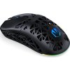 Endorfy LIV Plus Wireless