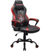 Iron Maiden Gaming Seat Junior