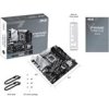 ASUS PRIME Z790M-PLUS, LGA1700, Intel Z790, 4xDDR5, 1xDP, 1xHDMI, mATX