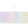 Genesis THOR 230/TKL/RGB/Outemu Brown/Drátová USB/US layout/Bílá