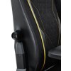 TRUST herní židle GXT 721 RUYA Pro Premium, černá