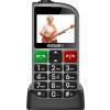 EVOLVEO Mobilní telefon pro seniory s nabíjecím stojánkem EasyPhone FL, stříbrná