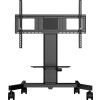 iiyama -Single column electric floor lift on wheel