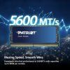 PAMPAT3440 4