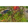 ESD RollerCoaster Tycoon World
