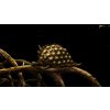 ESD Samorost 3