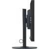 EIZO MT 24" EV2430-BK FlexScan, IPS, 1920x1200, 300nit, 1000:1, 14ms, DVI-D, D-sub, DisplayPort, USB, Repro, Černý