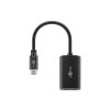 Adaptér GOOBAY 51773 USB-C/DisplayPort 0,2m