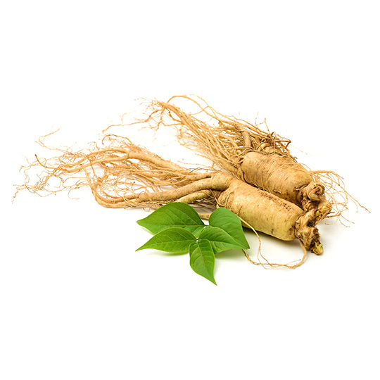 Korean Red Ginseng