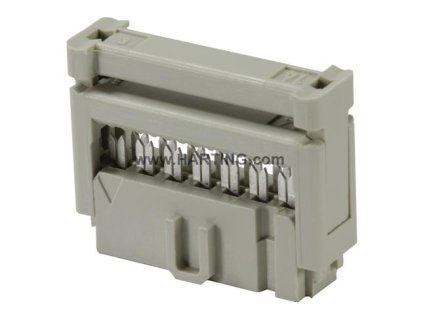 0918514X813 20220819 160510987 L