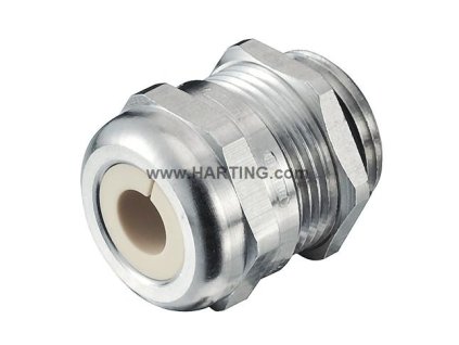 190000050XX 20220822 235153068 L