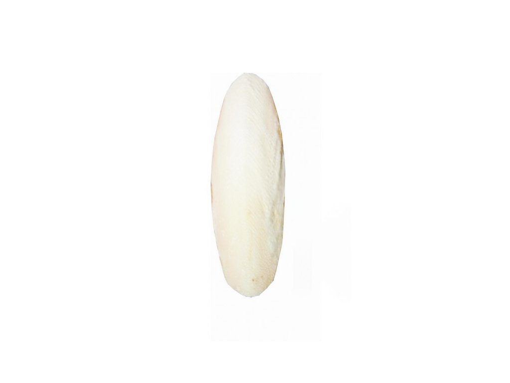 Fine Pet Sépiová kost broušená 8cm (+/- 2cm) 2ks/bal