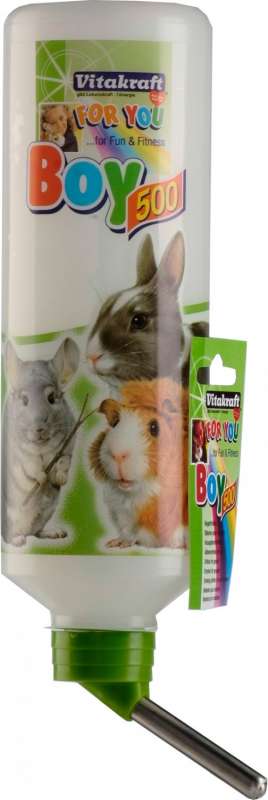 Drink Bottle BOY 500ml
