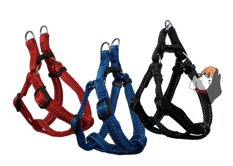 Postroj na psa reflexní 10mm x 19-39cm vyztužený
