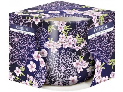 Bispol Aura vonná svíčka ve skle 100 g - oriental